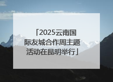 2025云南国际友城合作周主题活动在昆明举行