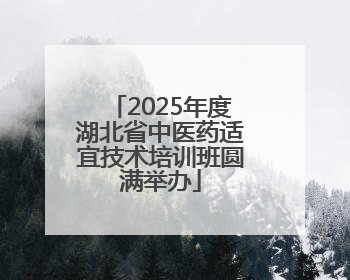 2025年度湖北省中医药适宜技术培训班圆满举办