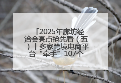 2025年廊坊经洽会亮点抢先看（五）丨多家跨境电商平台“牵手”107个特色产业集群