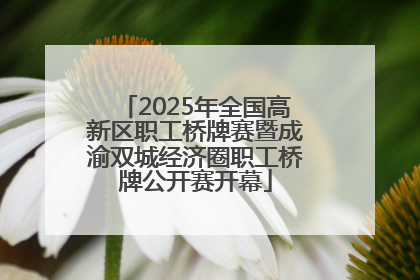 2025年全国高新区职工桥牌赛暨成渝双城经济圈职工桥牌公开赛开幕