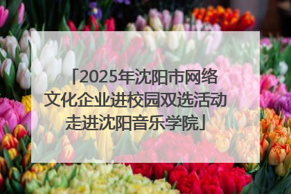 2025年沈阳市网络文化企业进校园双选活动走进沈阳音乐学院
