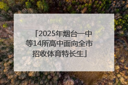 2025年烟台一中等14所高中面向全市招收体育特长生