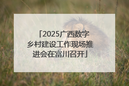 2025广西数字乡村建设工作现场推进会在富川召开