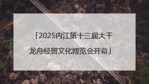 2025内江第十三届大千龙舟经贸文化博览会开幕