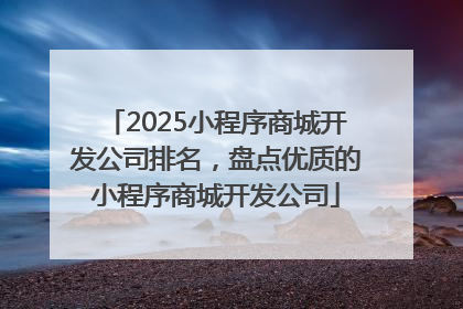 2025小程序商城开发公司排名，盘点优质的小程序商城开发公司