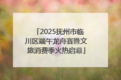 2025抚州市临川区端午龙舟赛暨文旅消费季火热启幕