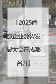 2025西部企业数智发展大会在成都召开