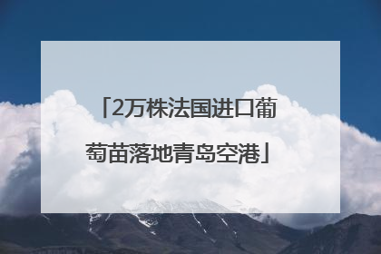 2万株法国进口葡萄苗落地青岛空港