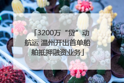 3200万“贷”动航运 温州开出首单船舶抵押融资业务
