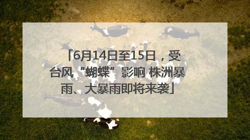6月14日至15日，受台风“蝴蝶”影响 株洲暴雨、大暴雨即将来袭