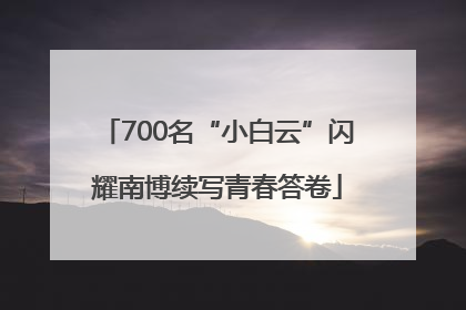 700名“小白云”闪耀南博续写青春答卷