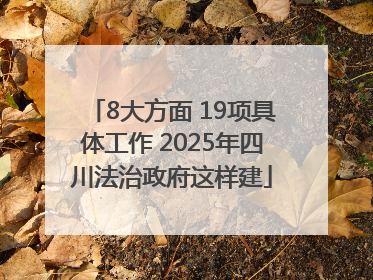 8大方面 19项具体工作 2025年四川法治政府这样建