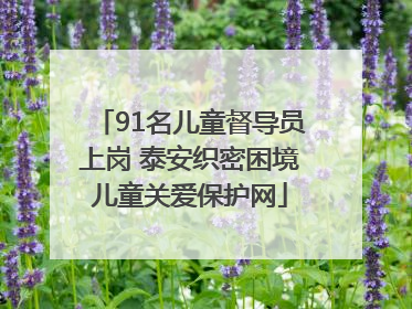 91名儿童督导员上岗 泰安织密困境儿童关爱保护网