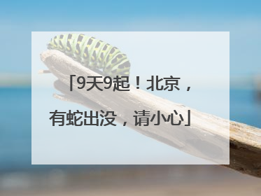 9天9起！北京，有蛇出没，请小心