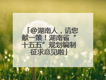 @湖南人，请您献一策！湖南省“十五五”规划编制征求意见啦