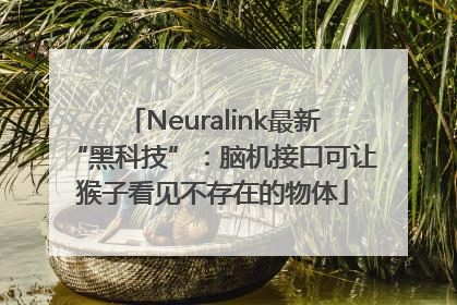 Neuralink最新“黑科技”：脑机接口可让猴子看见不存在的物体